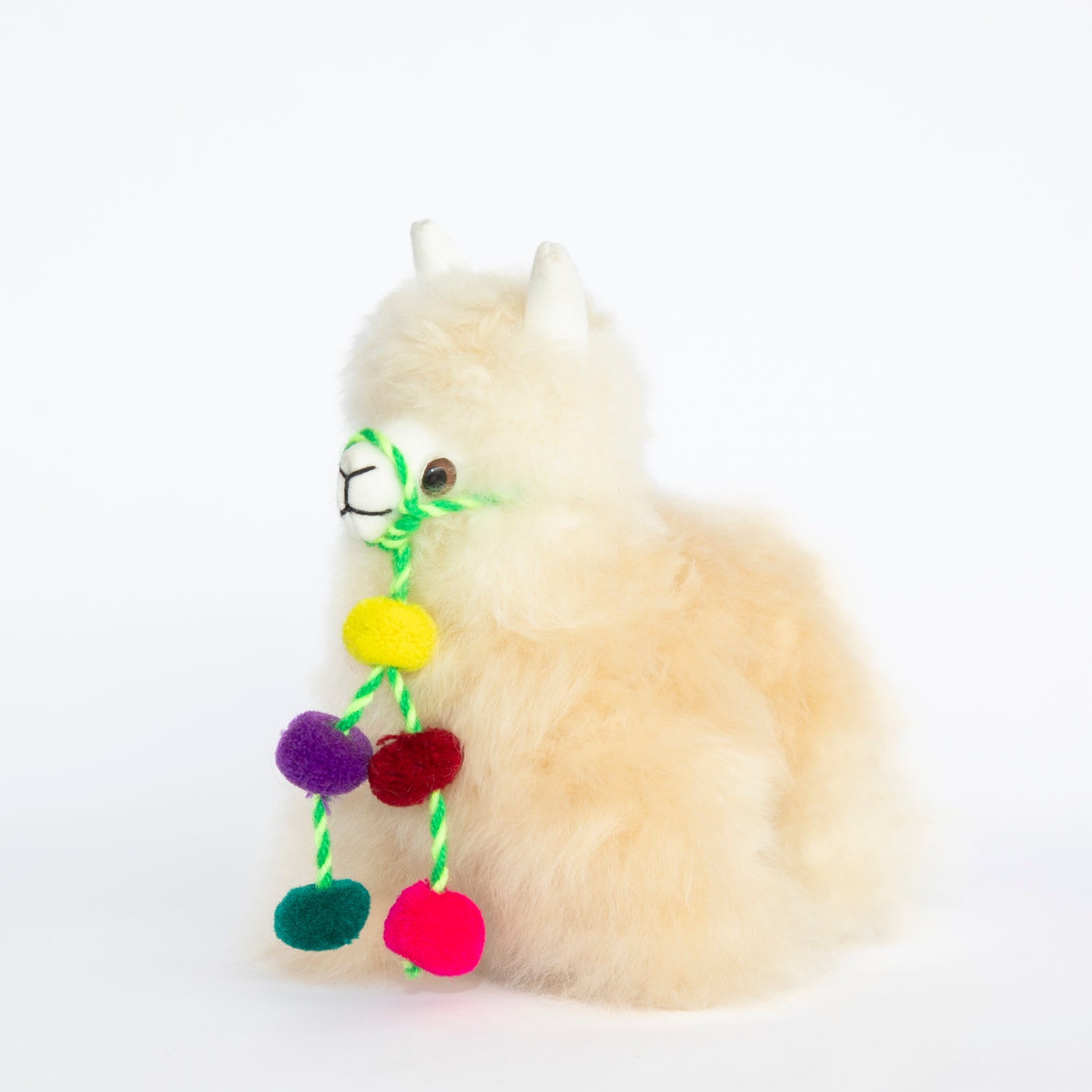 Peruvian Pom Pom Llama Facing Left