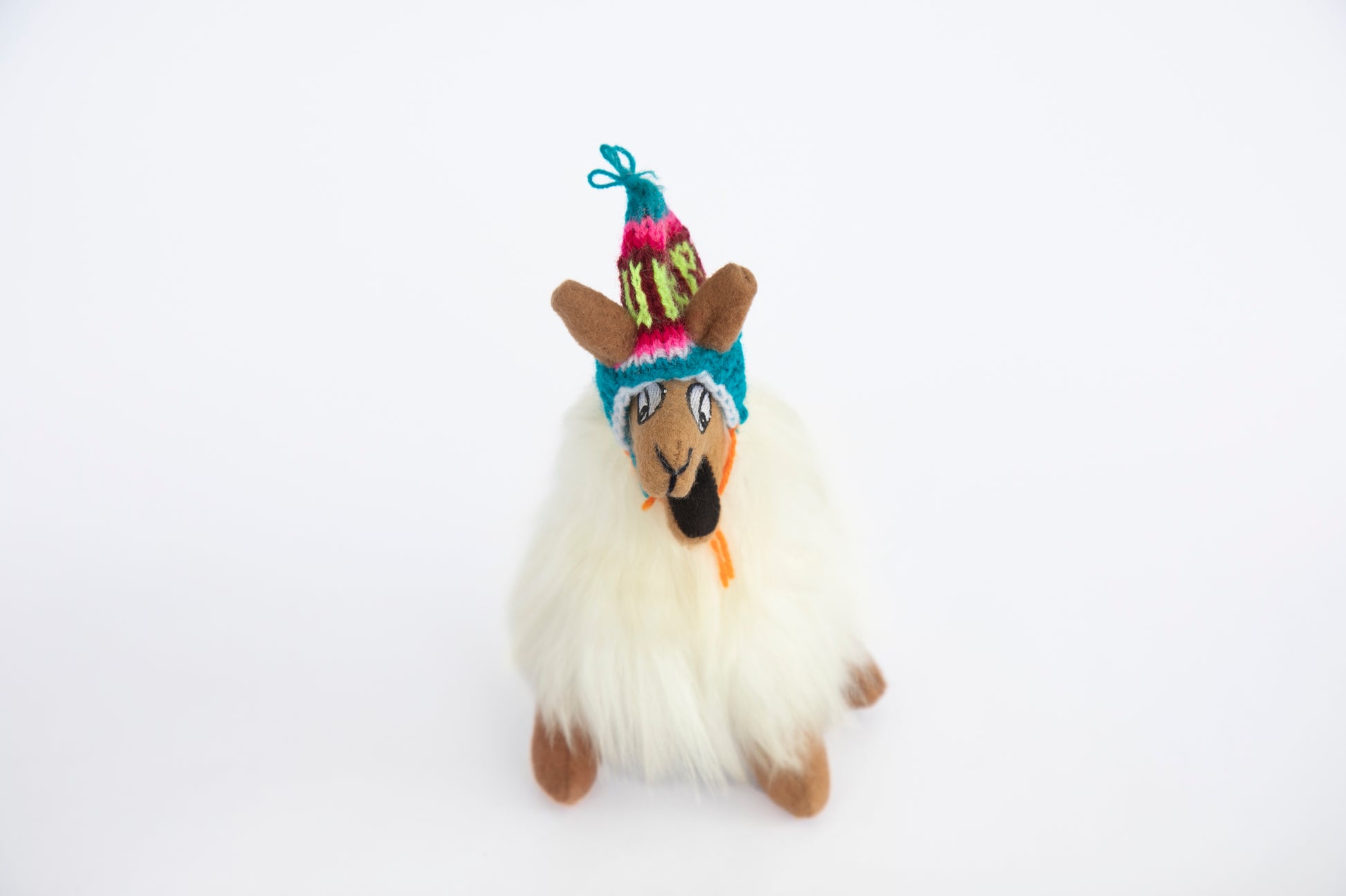 Crazy Llama Facing Forwards