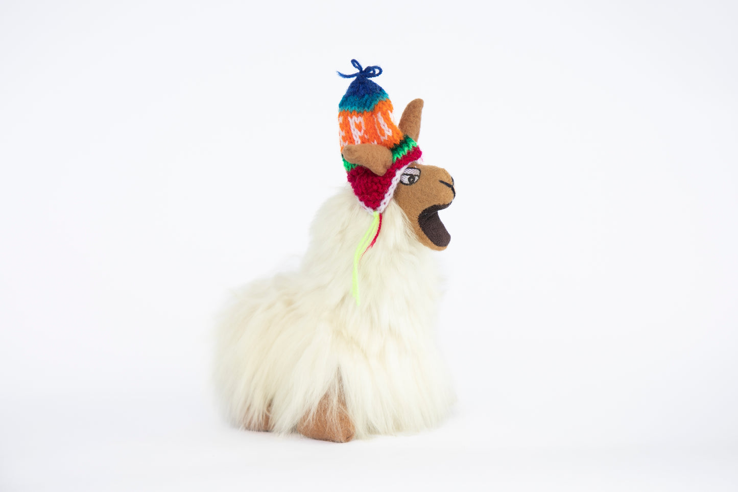 Crazy Llama Facing Right