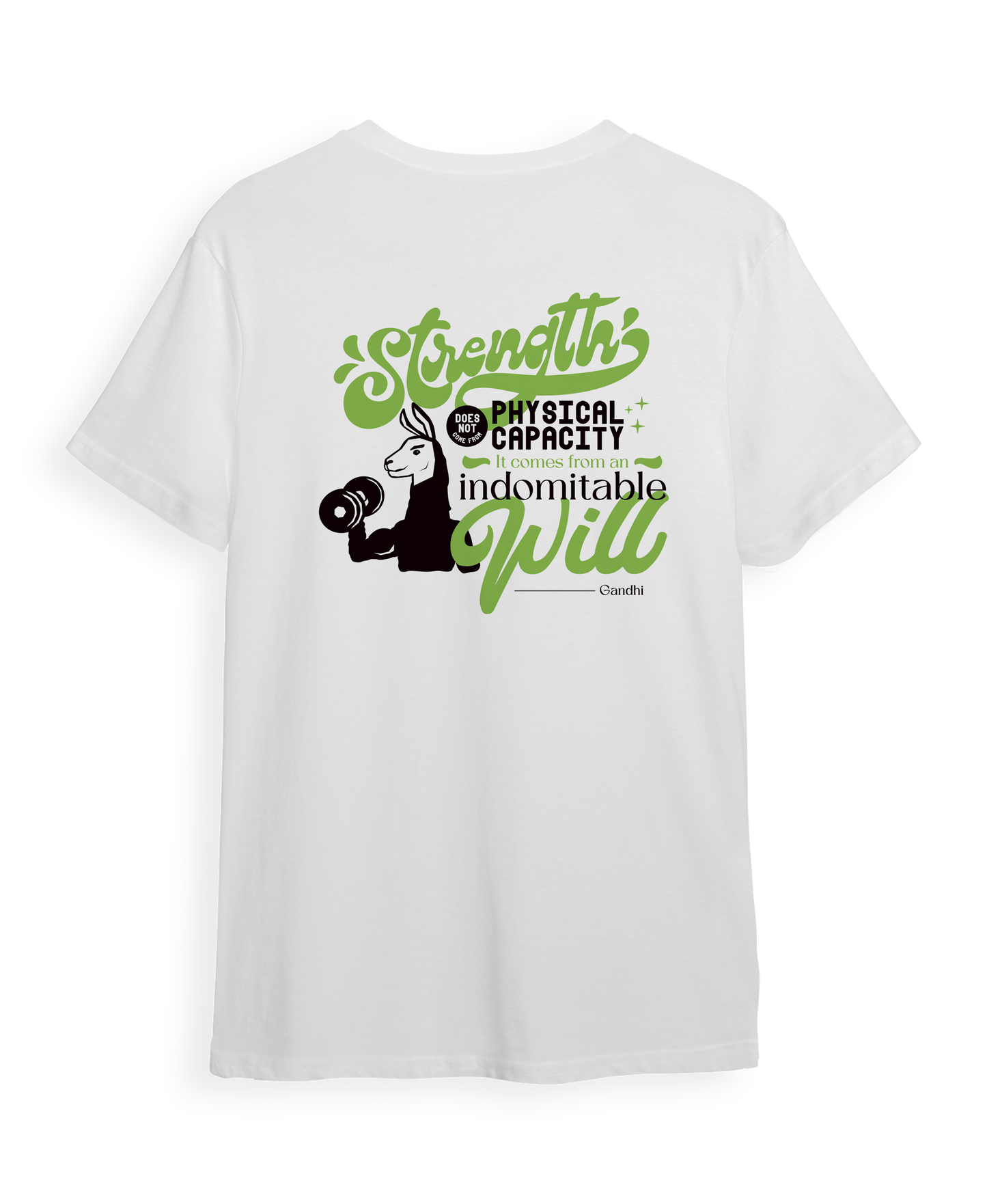 Workout Llama T-Shirt